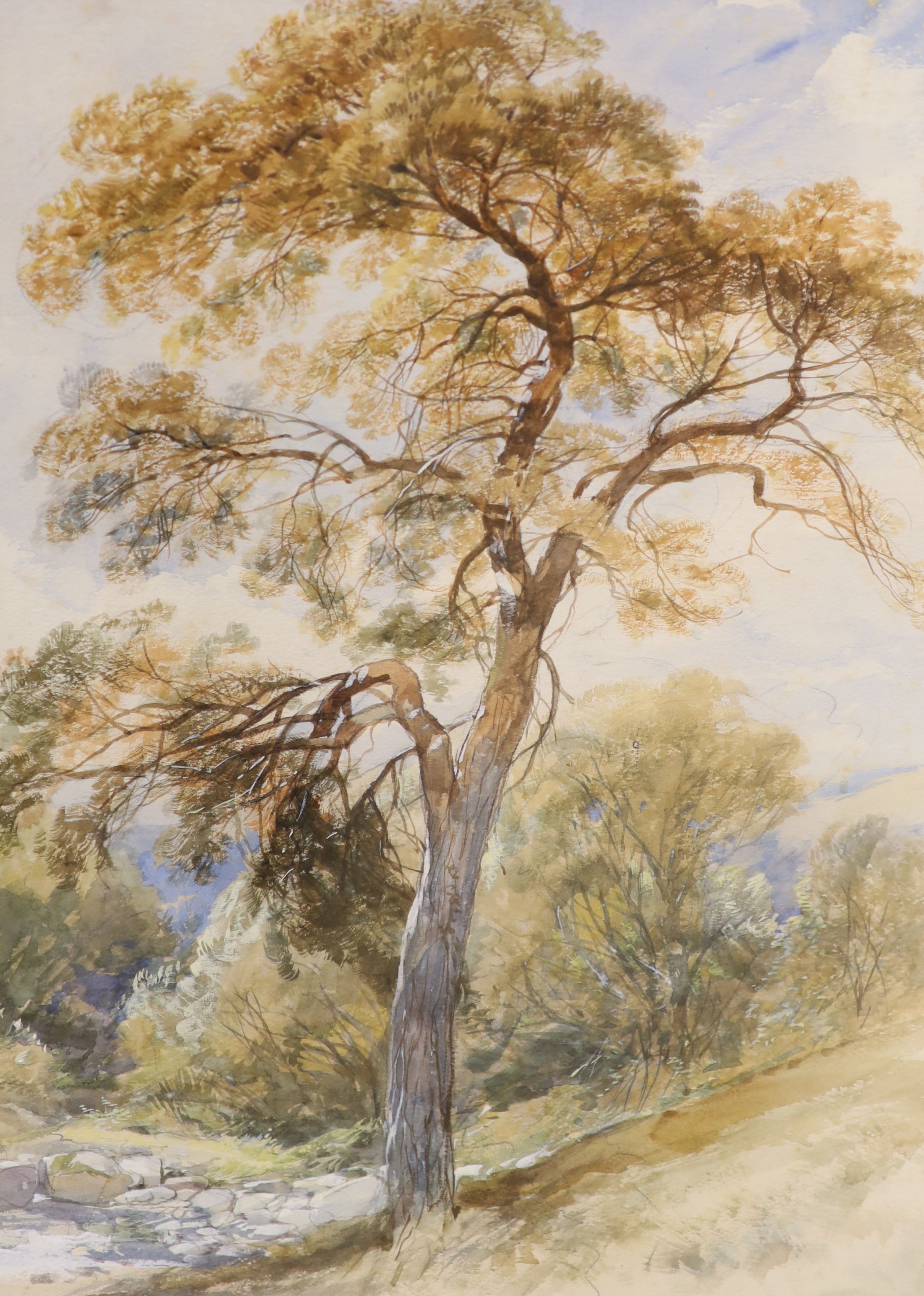 Victorian School, three watecolours, Horse and cart beside a church, Angler in a landscape and Pine tree in a landscape, largest 33 x 49cm